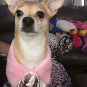 Meet your Posher, Kristi